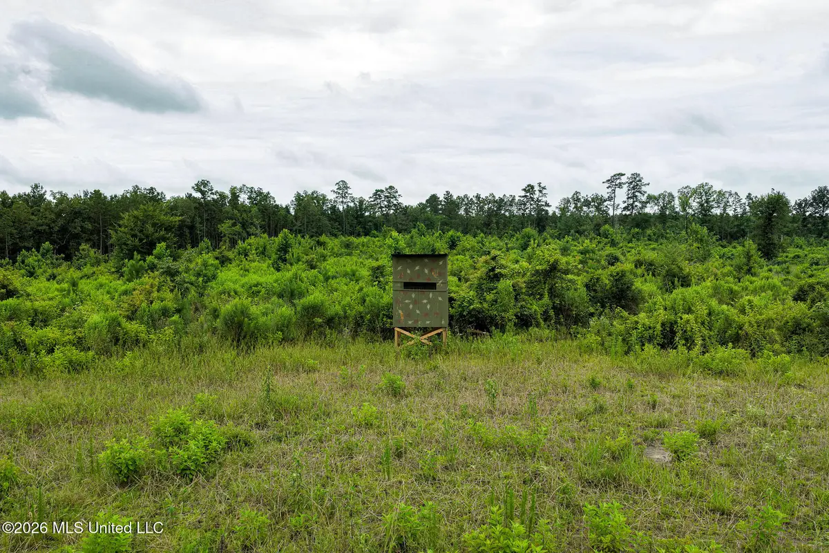Mary Wall Bridge Rd/mt Vernon, Liberty, MS 39645 - #1