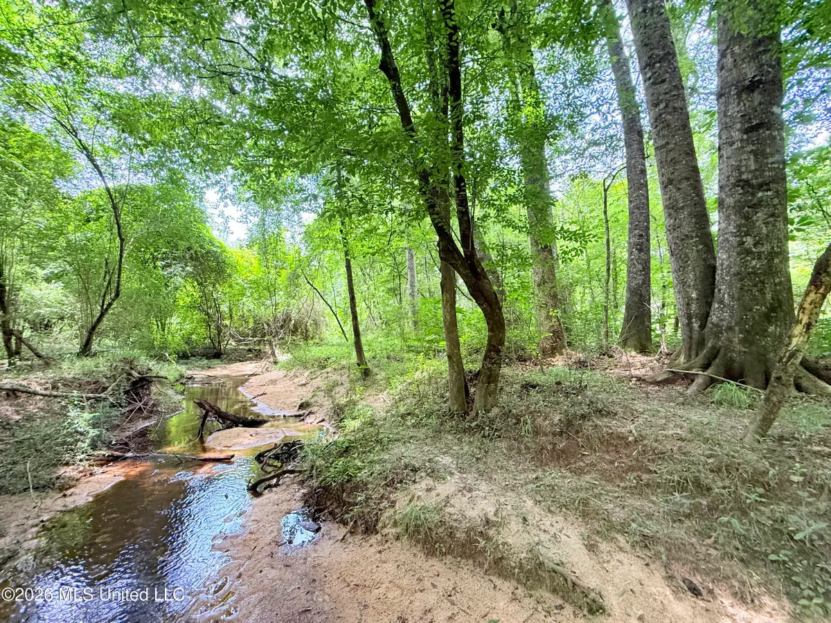 Summit Drive, Summit, MS 39666 - #1
