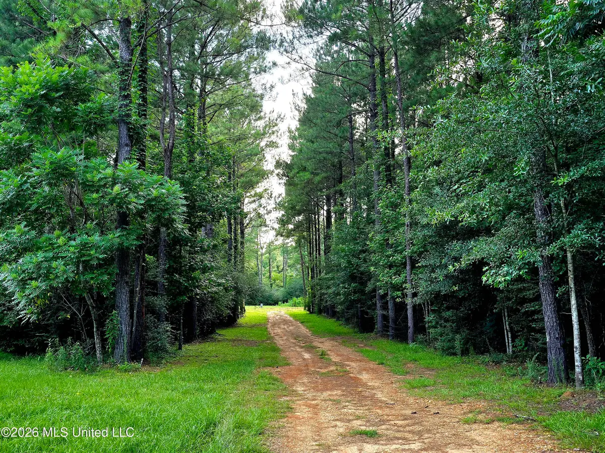 1189 Shady Grove Road, Osyka, MS 39657 - #1