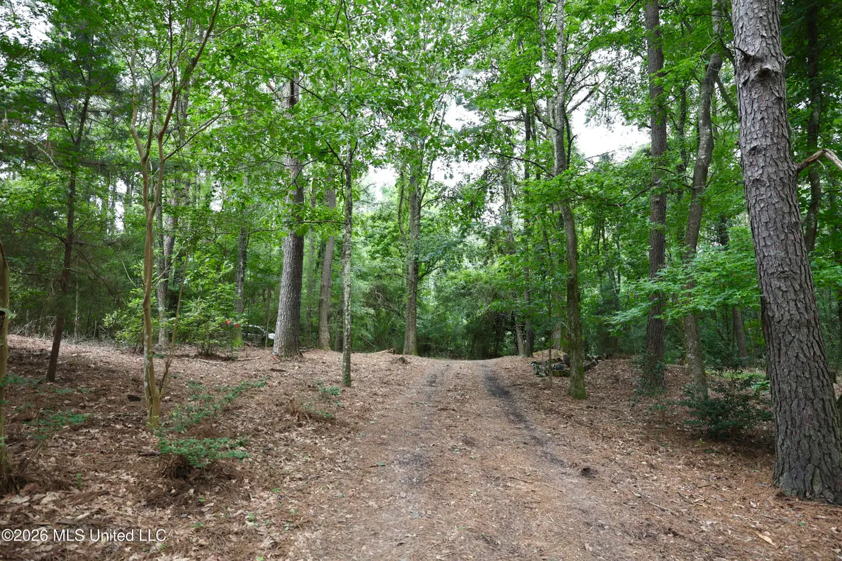 867 Cherryfield Road, Woodville, MS 39669 - #1