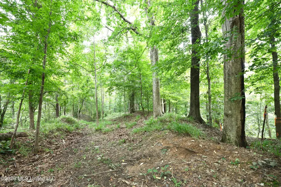 867 Cherryfield Road, Woodville, MS 39669 - #3