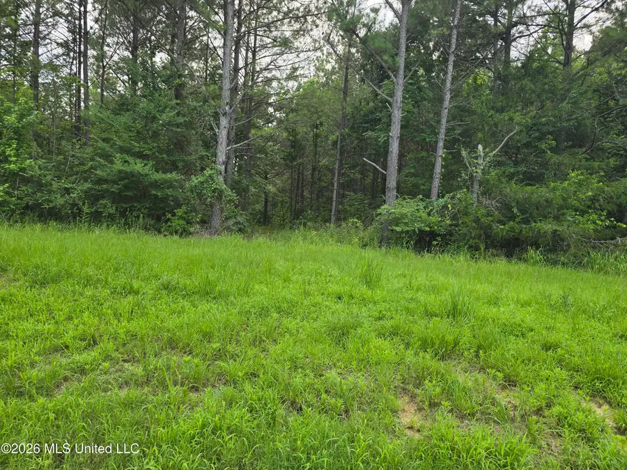 1 Gravel Springs Road Road, Senatobia, MS 38668 - #2