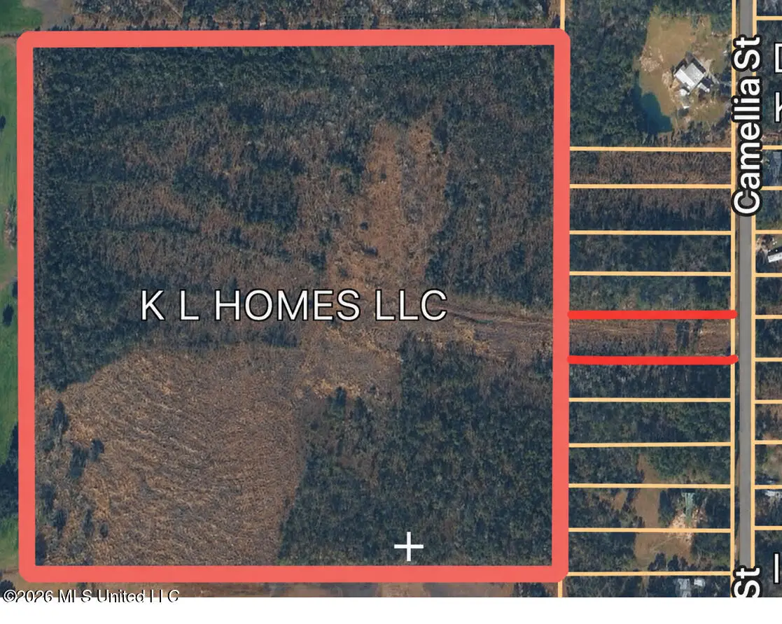 Camellia Street, Kiln, MS 39556 - #1