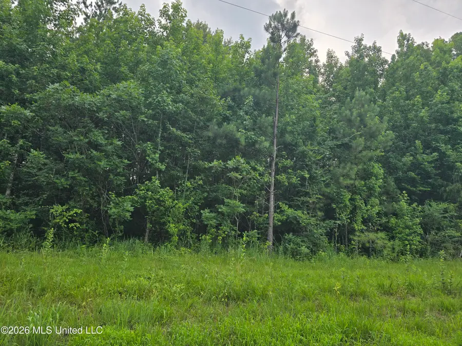 6 Gravel Springs Road, Senatobia, MS 38668 - #3