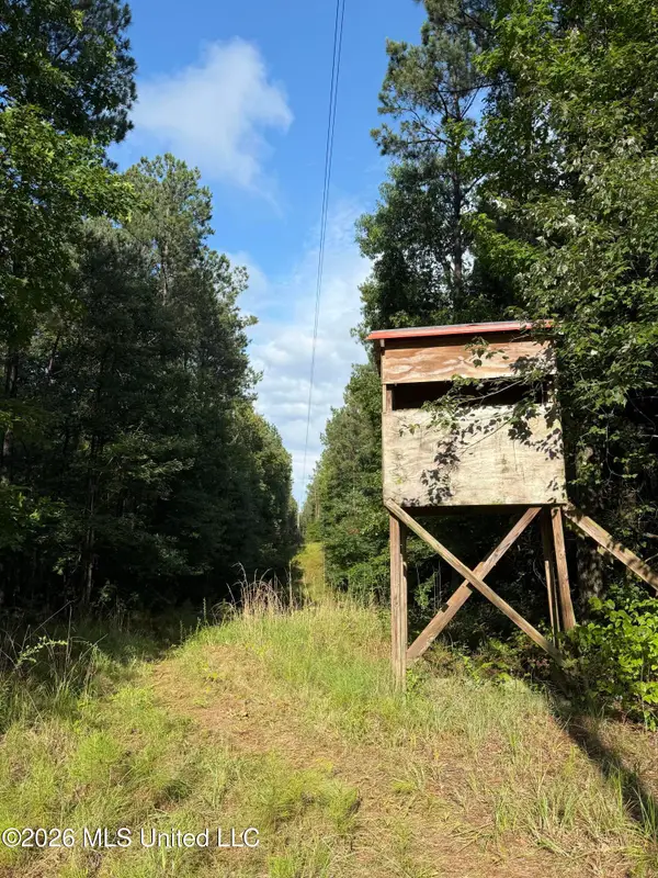 Co Rd 2136, McCool, MS 39108