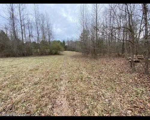 19576 Mississippi 6, Batesville, MS 38606 - #1