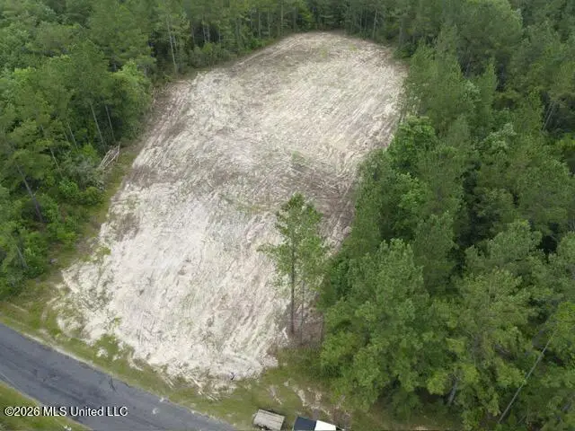 000 Stanford Lake Road, Poplarville, MS 39470 - #1