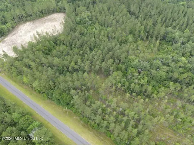 000 Stanford Lake Road, Poplarville, MS 39470 - #2