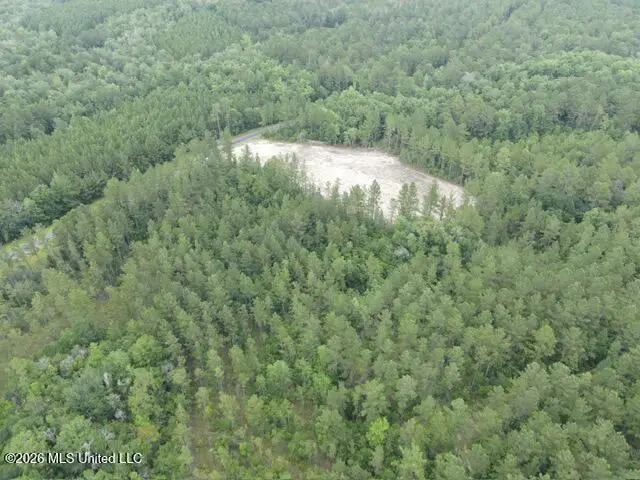 000 Stanford Lake Road, Poplarville, MS 39470 - #3