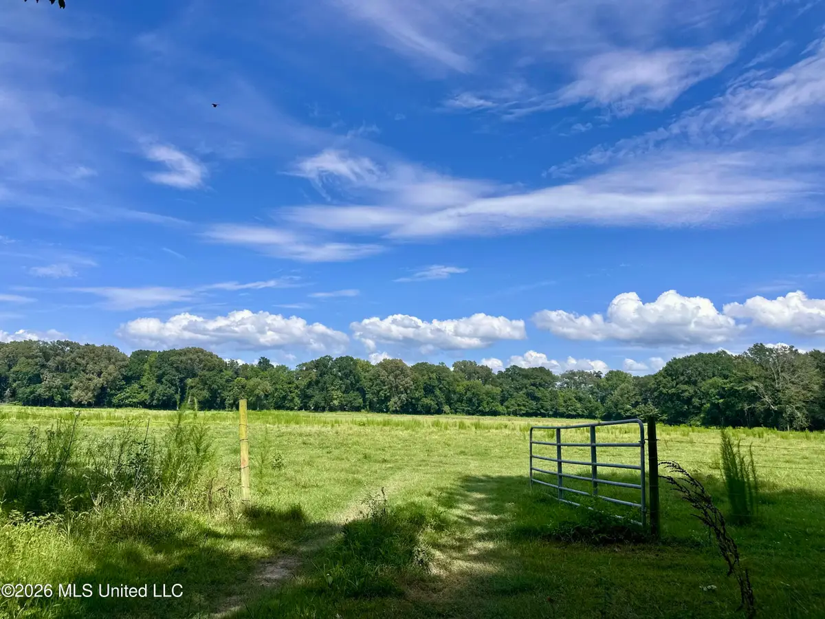 Lexington Road, Pickens, MS 39146 - #1