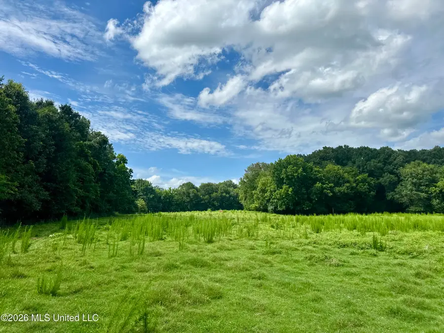 Lexington Road, Pickens, MS 39146 - #2