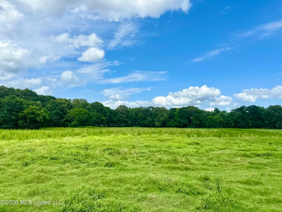 Lexington Road, Pickens, MS 39146 - #3