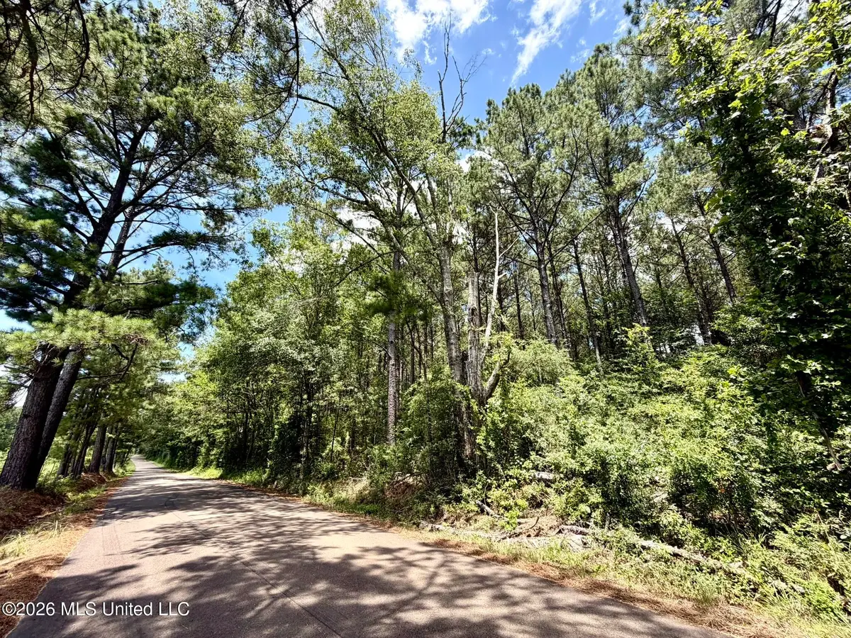 Xxx W Lincoln Drive, Smithdale, MS 39664 - #1
