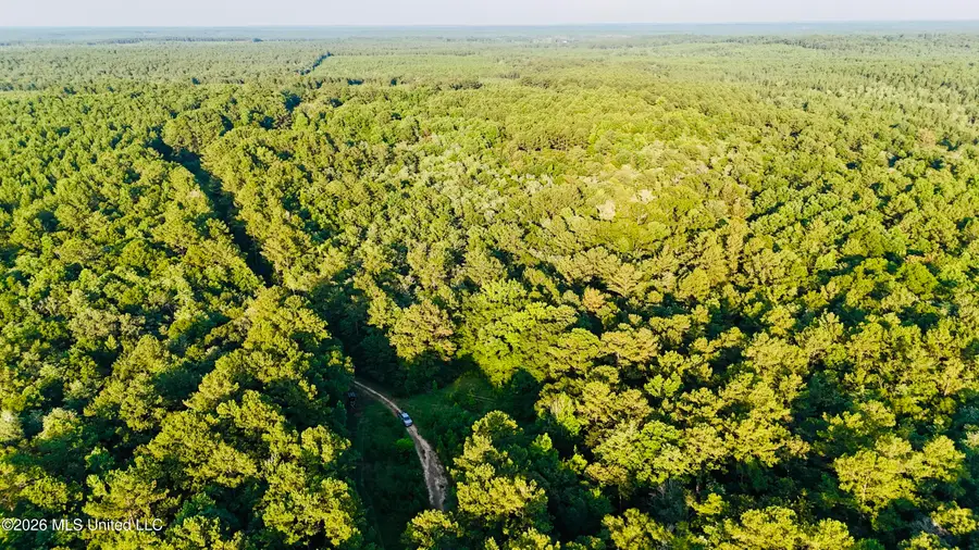 40ac 31092 Ms-63, Leakesville, MS 39451 - #3