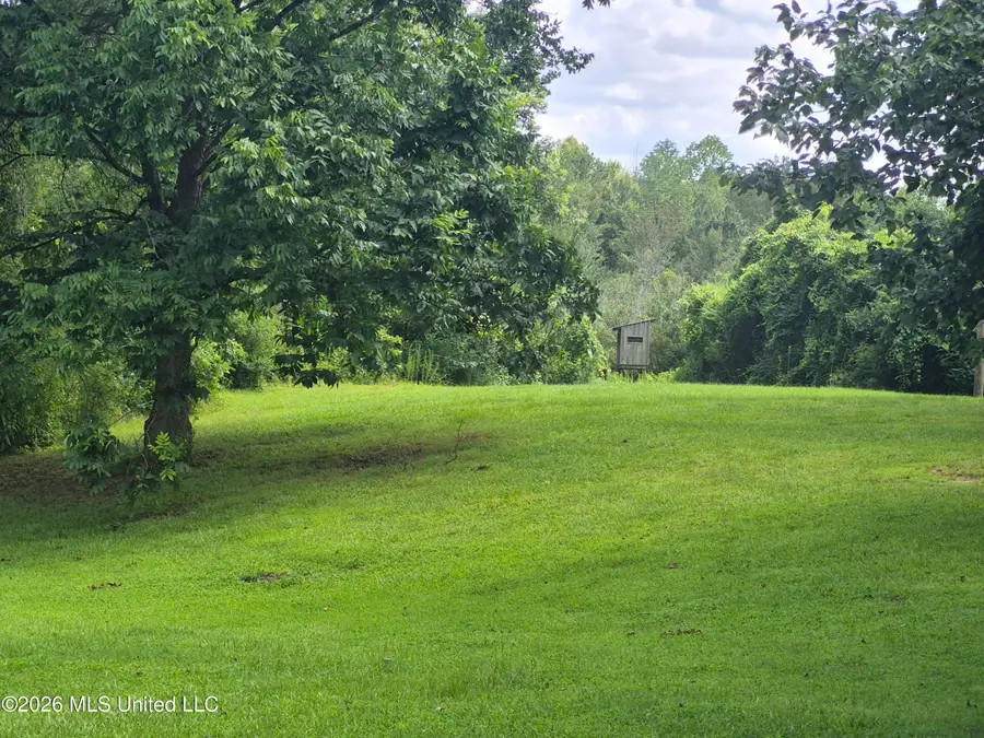 1200 Chetwood Road, Carthage, MS 39051 - #2