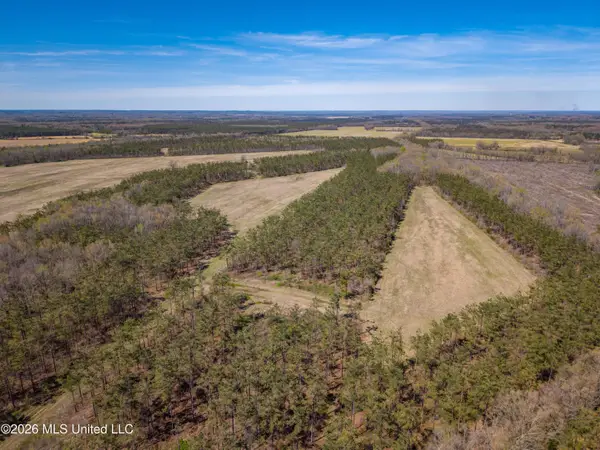 Wise Bend Road, Thaxton, MS 38871
