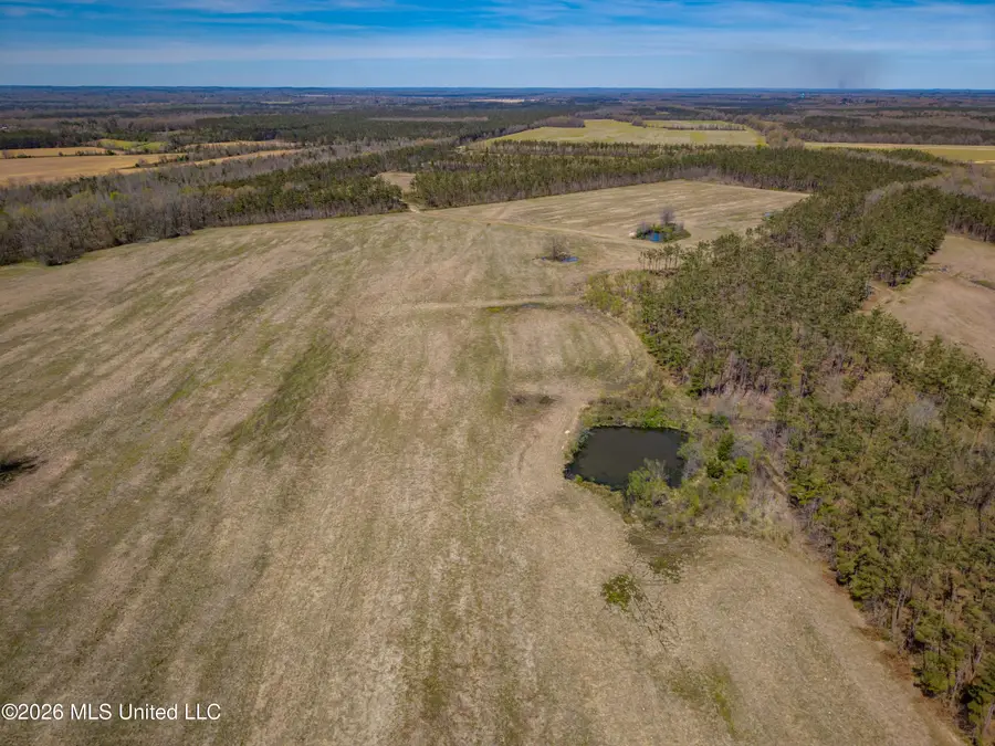 Wise Bend Road, Thaxton, MS 38871 - #3