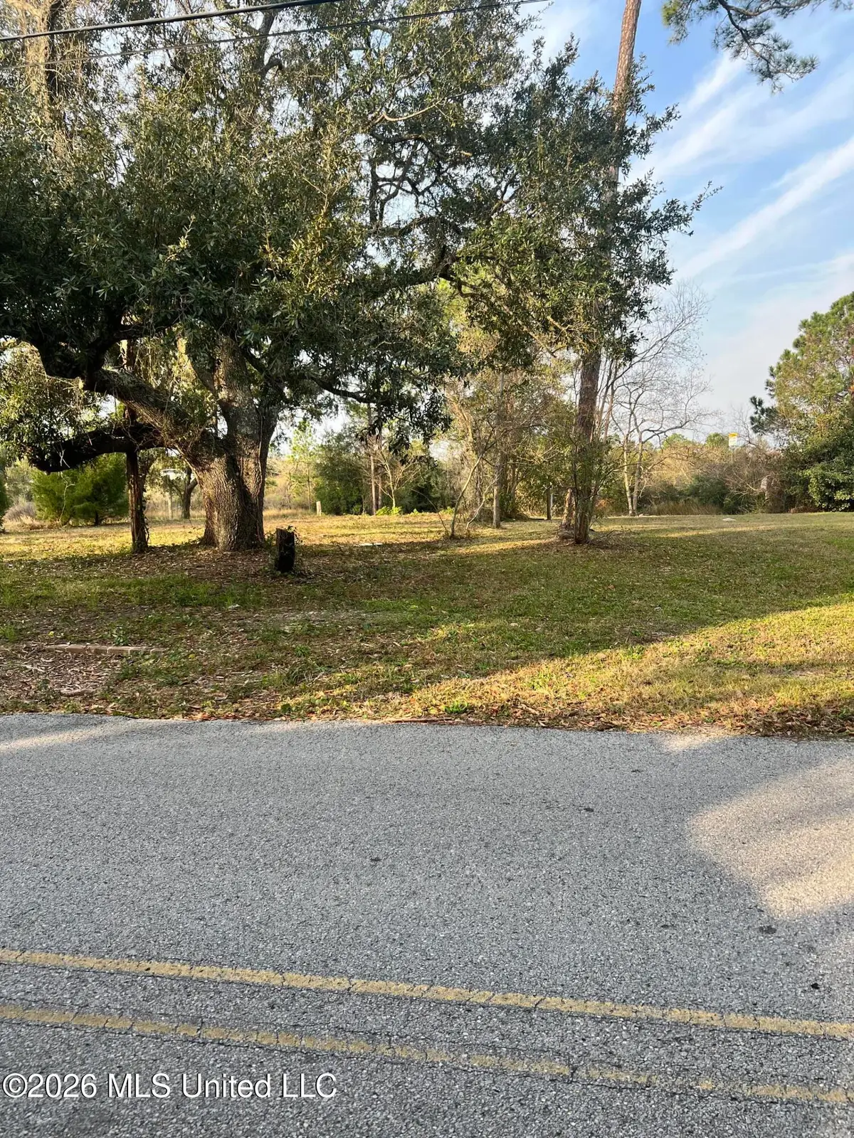 205 Livingston Drive, Pass Christian, MS 39571 - #1