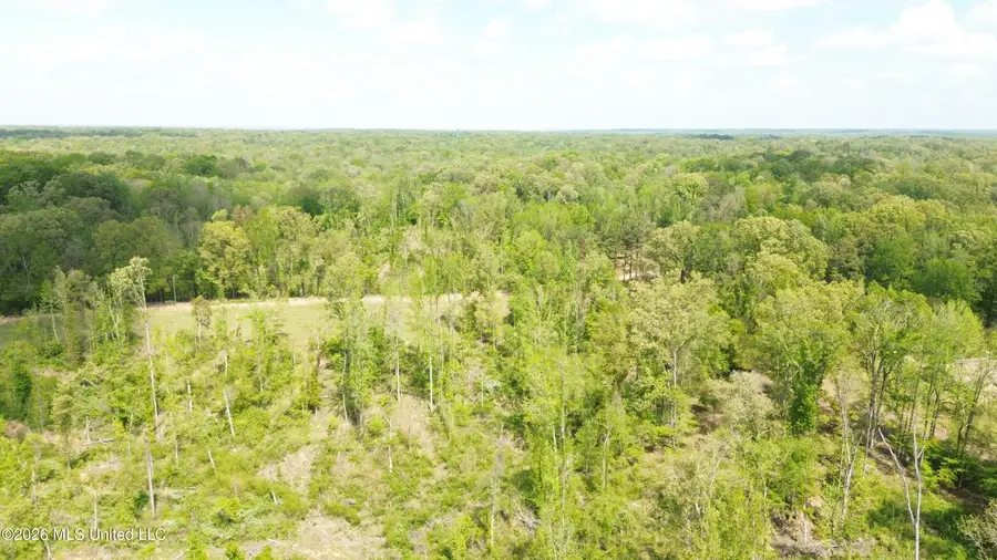 Stevens Rd, Bentonia, MS 39040 - #3