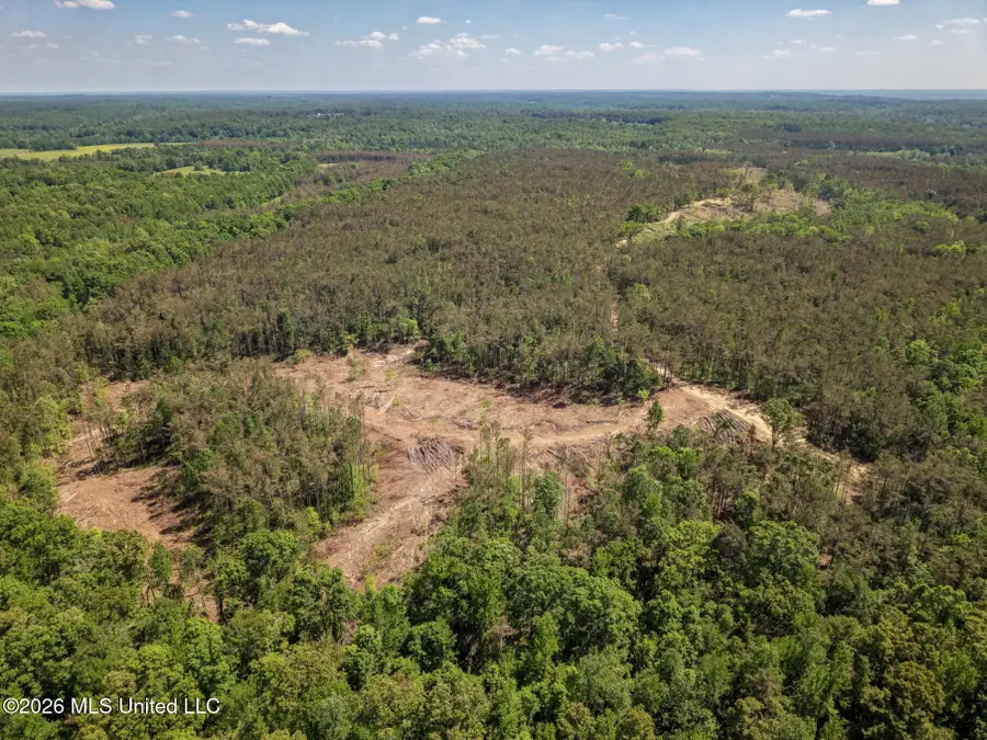 Shook Road, Cascilla, MS 38920 - #2