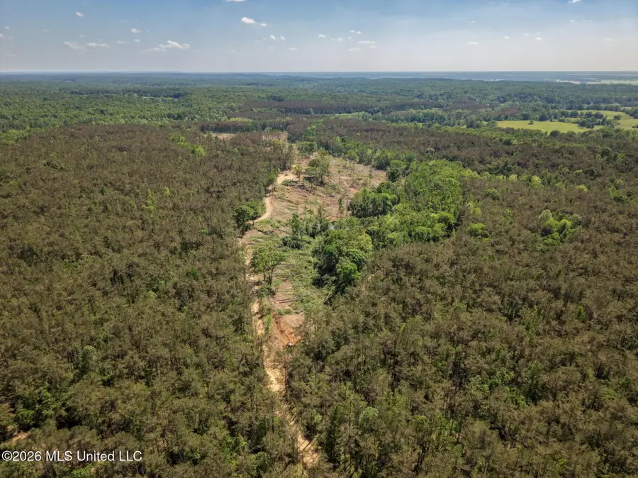 Shook Road, Cascilla, MS 38920 - #3