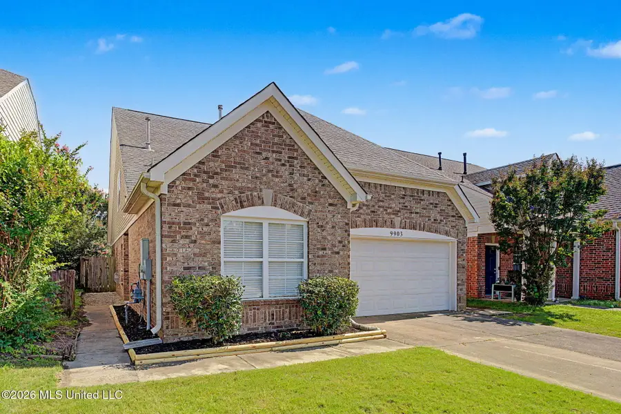 9903 White Poplar Drive, Olive Branch, MS 38654 - #3