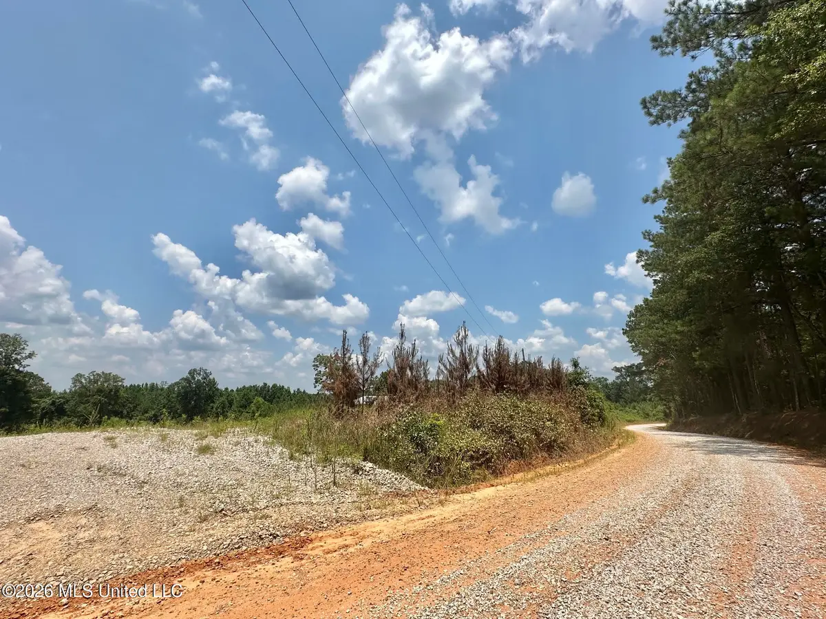 Callahan Road, Carthage, MS 39051 - #1