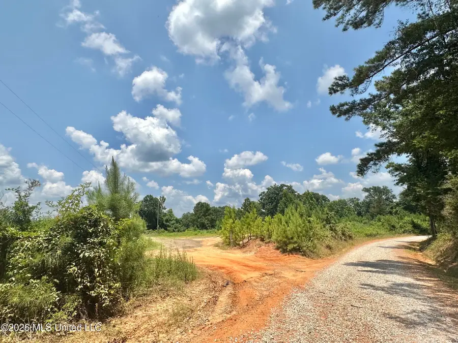 Callahan Road, Carthage, MS 39051 - #2