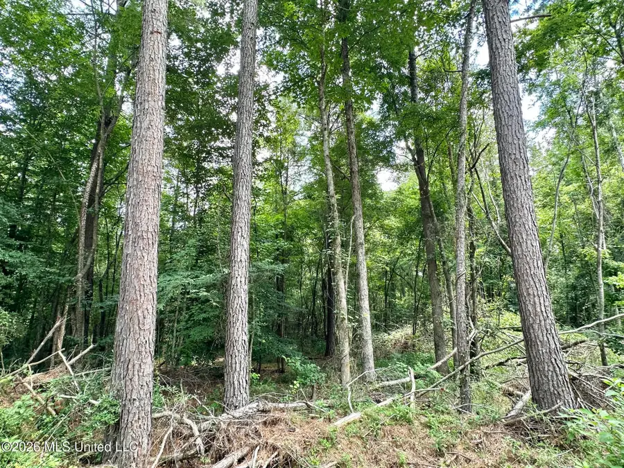 1 Highway 35, Carthage, MS 39051 - #3