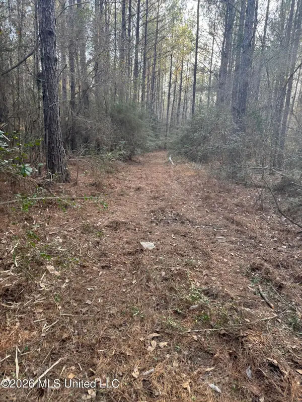 Mississippi 42, State Line, MS 39362