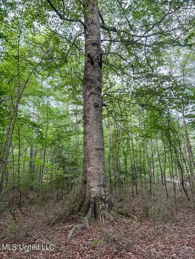 00 Ashley Road, Brandon, MS 39042 - #3