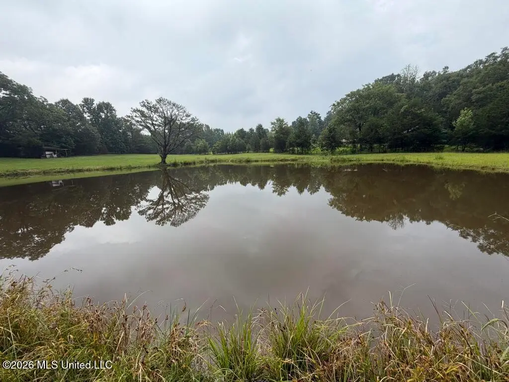 Meredith Road, Collinsville, MS 39325 - #1