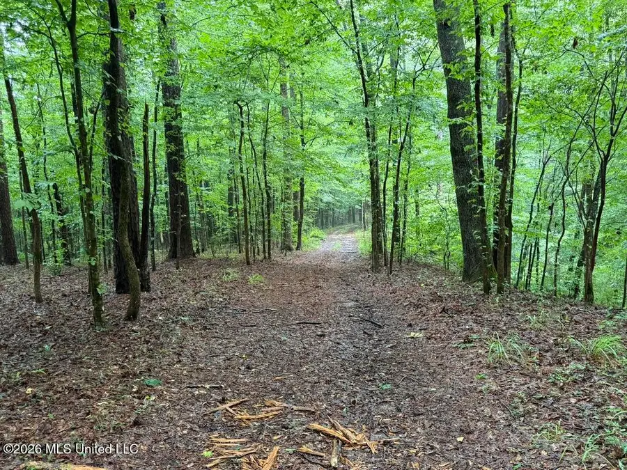 Meredith Road, Collinsville, MS 39325 - #2