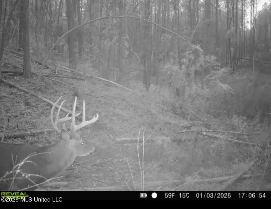 NW Union Road, Brookhaven, MS 39601 - #2