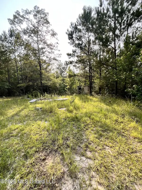 27 Roy Road, Lumberton, MS 39455