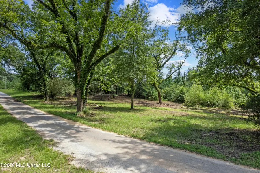 Co Rd 13, Louin, MS 39338 - #2