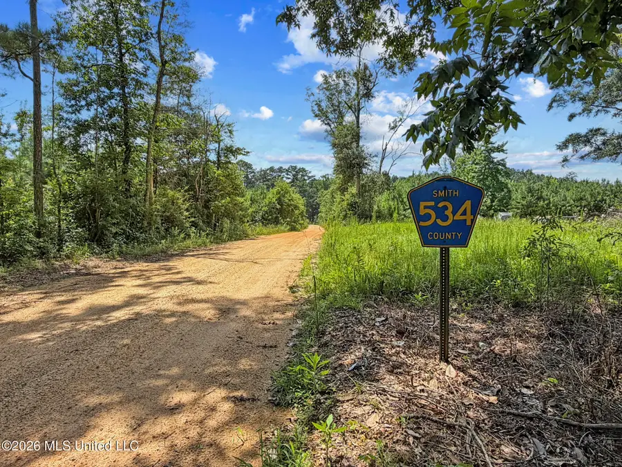 Co Rd 13, Louin, MS 39338 - #3