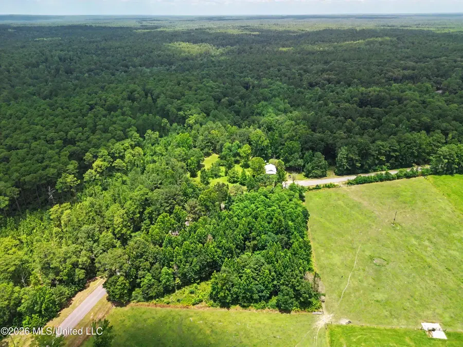 202 Saint John Road, Brooklyn, MS 39425 - #3