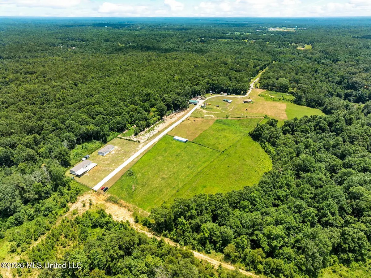 137 Sugar Creek Road, Carriere, MS 39426 - #1
