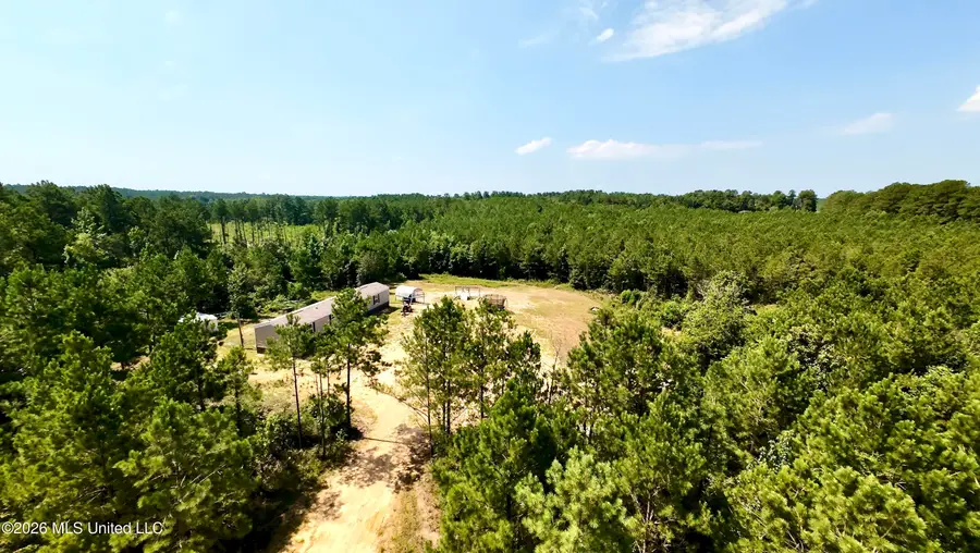 115 Calhoun Road, Mendenhall, MS 39114 - #3