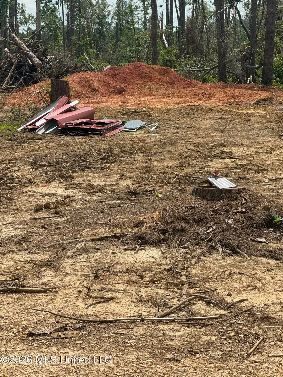 175 Stonybrook Trail, Bogue Chitto, MS 39629 - #2
