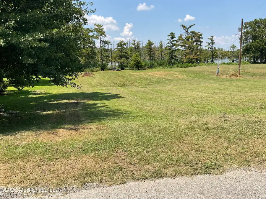 314 Lake Washington Road East, Glen Allan, MS 38744 - #3