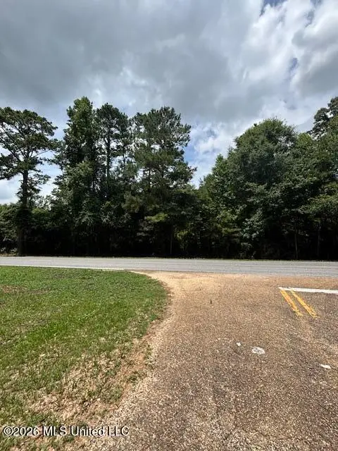 193 W Ms-48, Tylertown, MS 39667