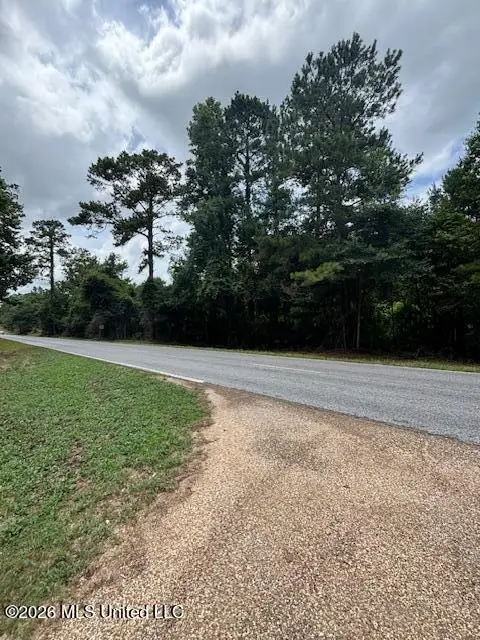 193 W Ms-48, Tylertown, MS 39667 - #3