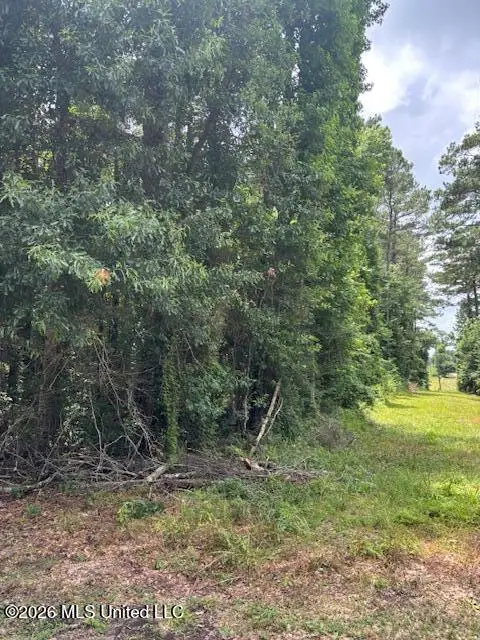 L W Johnson Road, Tylertown, MS 39667 - #1