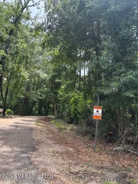 L W Johnson Road, Tylertown, MS 39667 - #2
