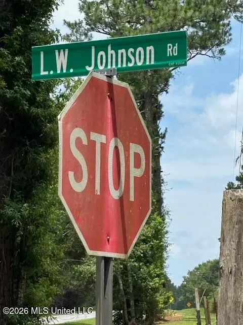 L W Johnson Road, Tylertown, MS 39667 - #3