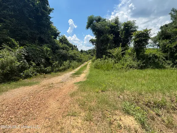 Firetower Road, Camden, MS 39045