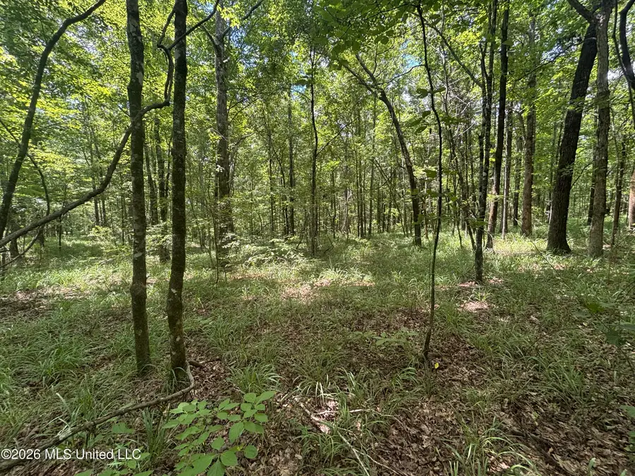 Firetower Road, Camden, MS 39045 - #3