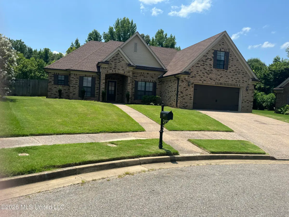 207 Shady Lane Cove, Hernando, MS 38632 - #1